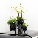 Complete plant set Home Hub | Green plants with white phalaenopsis orchid including black ceramic decorative pots and accessories