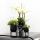 Ensemble de plantes complet Home Hub | Plantes vertes avec orchidée phalaenopsis blanche, y compris pots décoratifs en céramique noire et accessoires
