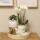 Orchidées Colibri | Cadeau pour la fête des mères | Set de plantes complet blanc vintage | Plantes vertes avec orchidée phalaenopsis blanche dans un pot dornement blanc vintage et accessoires