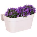 Campanula Addenda - Glockenblume Violett - Balkonkasten weiß mit 3 Campanula im 12cm Topf - Inkl. Aufhängesystem - winterharte Staude