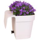 Campanula Addenda - Glockenblume Violett - Balkonkasten weiß mit 3 Campanula im 12cm Topf - Inkl. Aufhängesystem - winterharte Staude