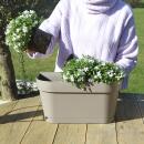 Campanula Addenda - bellflower violet - balcony box white with 3 Campanula in 12cm pot - incl. hanging system - hardy perennial