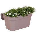 Campanula Addenda - bluebell white - balcony planter gray...