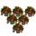 Teppichbeere Gaultheria procumbens Scheinbeere Rebhuhnbeere winterharte Pflanze mit dekorativen Beeren Set mit 6 Pflanzen