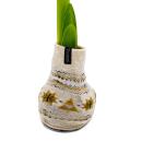 Exotenherz Amaryllis-Zwiebel in der Norweger-Socke...