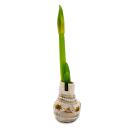 Exotenherz Amaryllis-Zwiebel in der Norweger-Socke Ritterstern Die originelle Geschenk-Idee beige