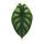 Kokodama - Alocasia baginda Dragon Scale - Drachenschuppen-Pfeilblatt - im Kokodama-Gefäß - ca. 15cm