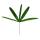 Palmier à boutures - Rhapis excelsa - Palmier bambou - pot 21cm - hauteur 80-100cm