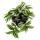 Exotenherz - three-master flower - Tradescantia "Nanouk" - easy-care hanging house plant - 9cm pot - pink