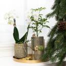 Kolibri Home - Ornament - Goldene Dekoration Eidechse ca....