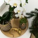 Kolibri Home - Ornament - Goldene Dekoration Eidechse ca. 13cm lang