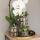 Kolibri Home - Ornament - Black/Gold Decoration Lizard approx. 13cm long