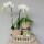 Kolibri Home - Decorative tray - Round bamboo bowl 30cm