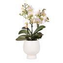 Kolibri Orchids - Weiße Phalaenopsis-Orchidee - Lausanne + Scandic weißer Ziertopf - Topfgröße  9cm + 40cm hoch - blühende Zimmerpflanze