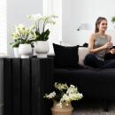 Kolibri Orchids - Orchidée Phalaenopsis blanche - Lausanne + pot décoratif blanc Scandic - taille de pot 9cm + hauteur 40cm - plante dintérieur fleurie