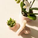 Kolibri Orchids - Plant Set Ring - Set with white...