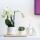 Kolibri Company - Set de plantes Ring blanc - Set avec orchidée Phalaenopsis blanche Amabilis 9cm et plante verte Rhipsalis 6cm et assiette en bambou ovale - pots décoratifs blancs en céramique inclus