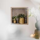 Kolibri Greens - Set de 2 plantes succulentes dans des pots décoratifs avec rainure dorée - taille des pots en céramique 9cm