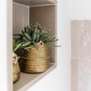 Kolibri Greens - Set de plantes - avec 3 mélanges de rhipsalis - pots décoratifs en céramique inclus - taille des pots 9cm