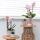 Hummingbird Greens - ensemble de plantes - avec 3 plantes succulentes - avec pots décoratifs en céramique - taille du pot 9 cm