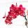 Kolibri Orchids Rote Phalaenopsis Orchidee Congo + Gummitopf Travertin Topfgröße 9cm 40cm hoch blühende Zimmerpflanze
