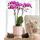 Kolibri Orchids rosa lila Phalaenopsis Orchidee El Salvador + Diabolo pink Topfgröße 9cm blühende Zimmerpflanze frisch vom Züchter