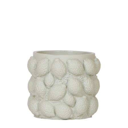 Cache-pot "Fruits coquins" - Vert - Lime - adapté aux pots de plantes de 9cm