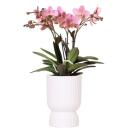 "Diabolo" planter - classic shape - delicate pastel colors - white - suitable for 12cm pots