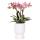 "Diabolo" planter - classic shape - delicate pastel colors - white - suitable for 12cm pots