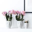 Planter "Face" - shape of a delicate harmonious face - gold and white - suitable for 6cm, 9cm and 12cm pots