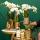 Planter "Face" - shape of a delicate harmonious face - gold and white - suitable for 6cm, 9cm and 12cm pots