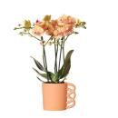 Übertopf "Happy Mug" - glücklicher Kaffebecher - fröhliche Keramik passend für 9cm Töpfe - orange
