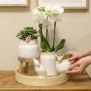 "Vintage Bowl" cachepot - ceramic in vintage look - white - suitable for 6cm pots