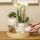 "Vintage Bowl" cachepot - ceramic in vintage look - white - suitable for 6cm pots