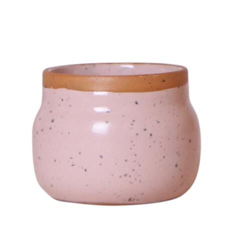 Uni2Raw-Variant--1 The following is the name...