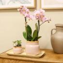 Uni2Raw-Variant--1 The following is the name...