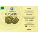 Olive herb in organic quality - Santolina viridis - herb plant in 12cm pot