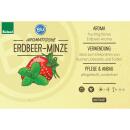 Fruchtige Minze-Sorten - Set mit 3 Pflanzen in BIO-Qualität - Ananas - Erdbeer - Banane - 12cm Topf