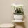 Kolibri Orchids white plant set in white Diabolo bowl including water reservoir