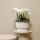 Kolibri Orchids white plant set in white Diabolo bowl including water reservoir