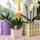 "Mosaic cube" cachepot trio - set with 3 colorful pots in matching colors