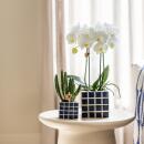 "Mosaic cube" cachepot trio - set of 3 colorful pots - blue-sand - for 6cm pots