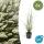 Lampenputzer-Gras - Pennisetum alopecuroides Hameln - 9cm Topf - Set mit 6 Pflanzen