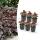 Groundcover - Purple bellflower - Heuchera mic. Palace Purple - 9cm pot - set of 6 plants