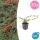 Bodendecker - Cotoneaster dammeri - Teppich-Zwergmispel - 9cm Topf - Set mit 20 Pflanzen