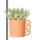 Ensemble de plantes Kolibri Greens - avec 3 mélanges de succulentes - comprenant des pots décoratifs en céramique taille du pot 9 cm
