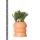 Ensemble de plantes Kolibri Greens - avec 3 mélanges de succulentes - comprenant des pots décoratifs en céramique taille du pot 9 cm