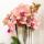Kolibri Orchids Coffret surprise Mix Plantes Avantages - Coffret surprise avec 4 orchidées différentes 12cm