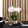 Kolibri Orchids combi deal de 2 orchidées Phalaenopsis blanches - taille de pot 12cm