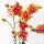 Kolibri Orchids offre combinée de 2 orchidées Phalaenopsis orange parfumées - taille de pot 12cm